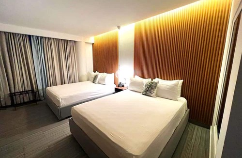 Dominicus Hotel | Hotel Alkquimia