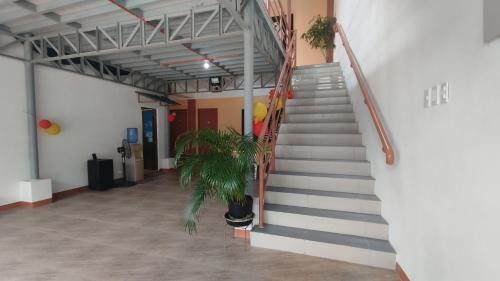 Lazi Hotel | GuapasInn