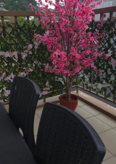 Baguio Apartment | Baguio and Japan Fusion in Baguio City