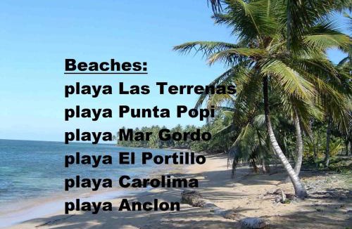 El Callejon Apartment | Caribbean Domicil Apartment 01