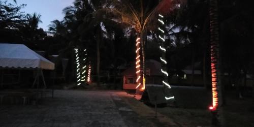 Anda Resort | Anda Poseidon’s Beach Resort