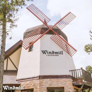 Canlubang Apartment | Crosswinds Swiss Premier Suite