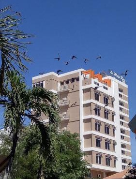 La Maja Rica Hotel