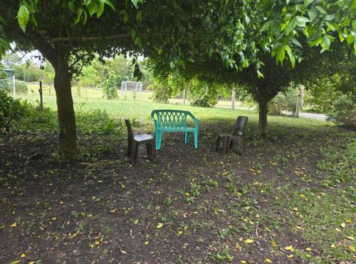 The Cabins at Green Acres Village - Cozy Nature Stay in Moalboal