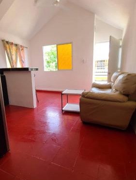 Cozier apartment Boca Chica